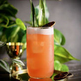 لیوان شیشهای دو عددی پاشاباغچه مدل Irish Coffee مناسب سرو قهوه و نوشیدنیهای گرم