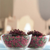 ست ۶ عددی پیاله شیشهای لاو مدل VIR-261 ساخت ترکیه، مناسب سرو دسر و تنقلات