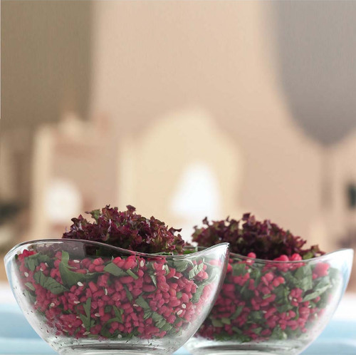 ست ۶ عددی پیاله شیشهای لاو مدل VIR-261 ساخت ترکیه، مناسب سرو دسر و تنقلات