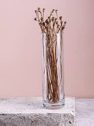 گلدان استوانهای شیشهای پاشاباغچه کد 43767 – طراحی ساده و زیبا مناسب دکوراسیون منزل و محیط کار