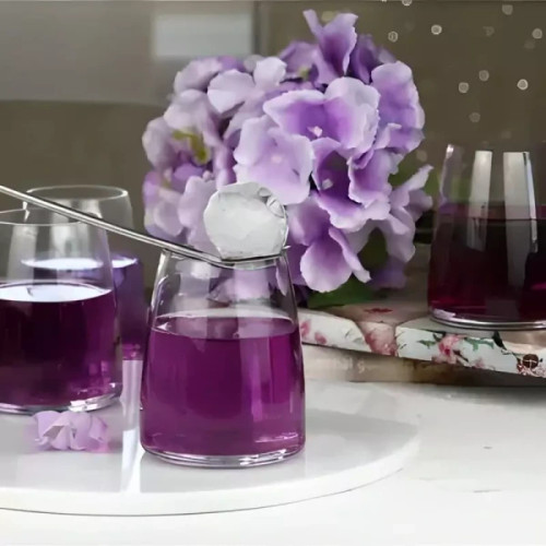 لیوان کوتاه شیشهای پاشاباغچه مدل Pinot کد 420332، بسته ۴ عددی با طراحی شیک و ساده