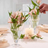 ظرف بستنی شیشهای پایهدار پاشاباغچه مدل Pleats با طراحی مینیمال و شفاف