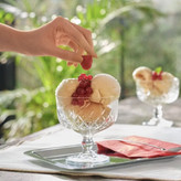 بستنی خوری کوچک و شفاف پاشاباغچه مدل تایملس کد 440211 مناسب سرو بستنی و شیرینی