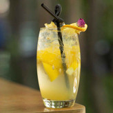 ست ۶ عددی لیوان شیشهای پاشاباغچه مدل بارل با طراحی مقاوم و شفاف