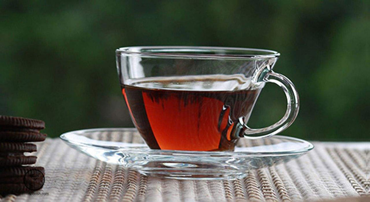 فنجان شفاف پاشاباغچه مدل پنگوئن PENGUEN-55611 – طراحی مدرن و مقاوم