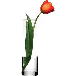 خرید گلدان شیشهای استوانهای پاشاباغچه کد 43767 – ظرف دکوراتیو شفاف برای گل طبیعی و مصنوعی