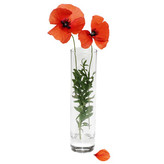 گلدان شفاف استوانهای پاشاباغچه کد 43767 – مناسب تزیین میز، منزل و محل کار