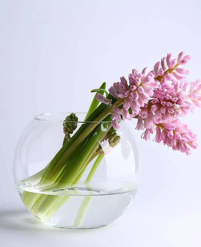 گلدان شیشه‌ای کروی پاشاباغچه مدل 45068