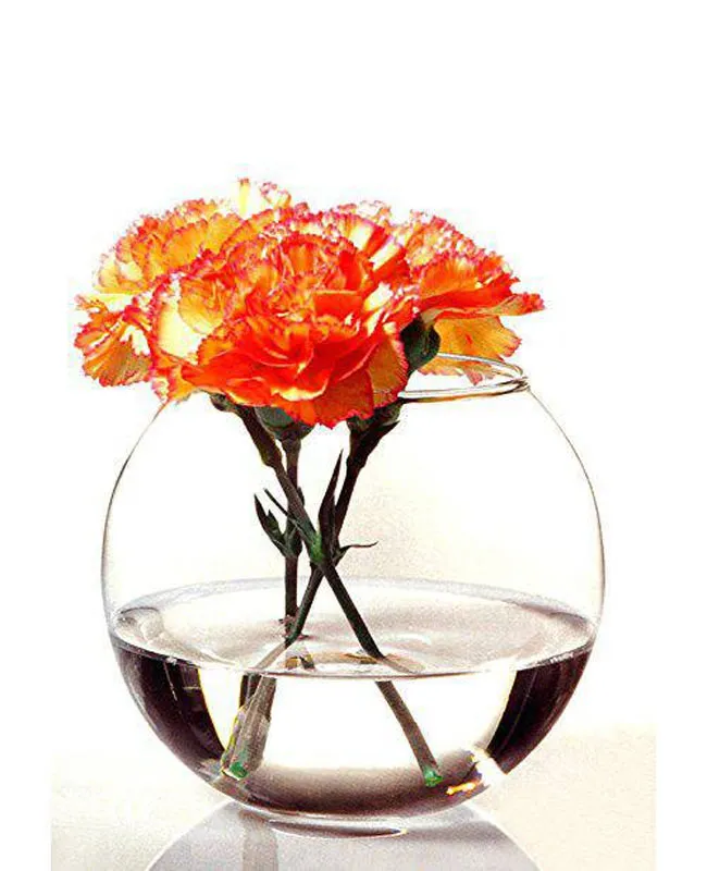 طراحی شفاف و کروی گلدان شیشه‌ای پاشاباغچه
