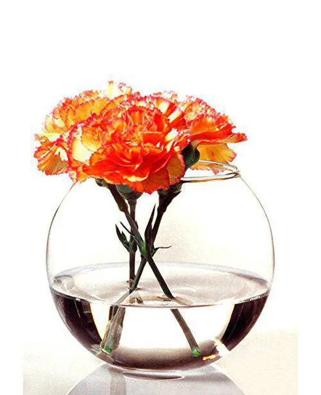 طراحی شفاف و کروی گلدان شیشهای پاشاباغچه