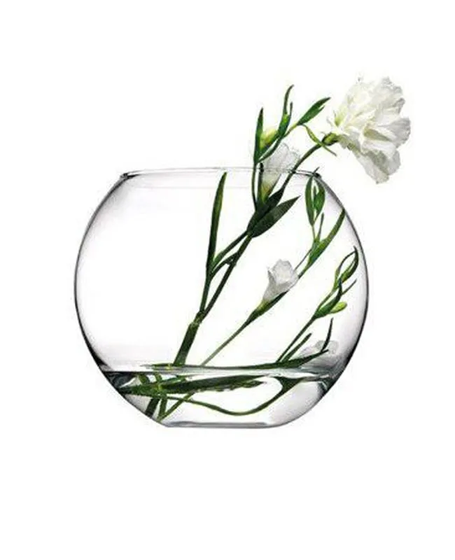 گلدان شیشه‌ای مدل 45068 مناسب برای تراریوم و گیاهان آپارتمانی