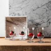 لیوان شفاف پایهدار پاشاباغچه مدل Gala