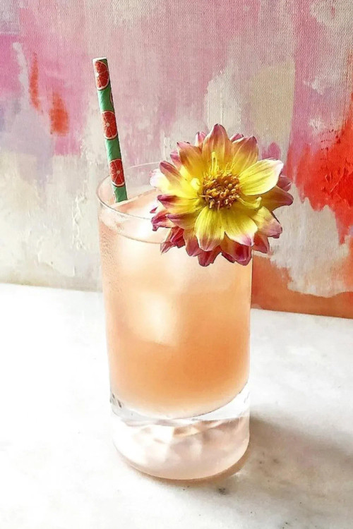 ست ۶ عددی لیوان شیشهای پاشاباغچه مدل نود کلاب با طراحی شفاف و مینیمال برای نوشیدنیهای سرد و گرم